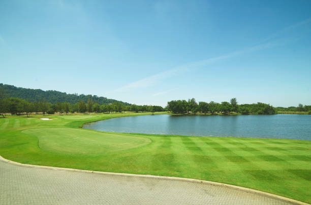 istock Tranquil and clean green beautiful lawn field 1059499576