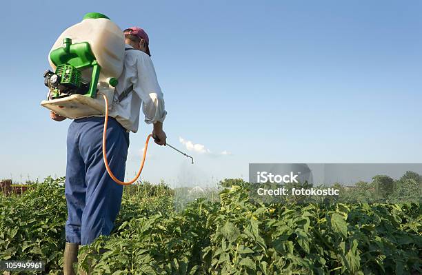 Exterminator Stock Photo - Download Image Now - Insecticide, Crop Sprayer, Spraying