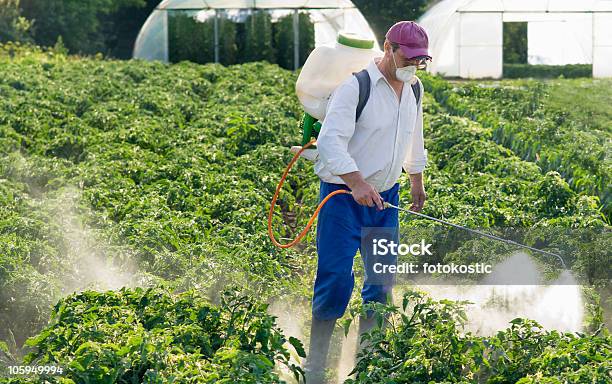 Exterminator Stock Photo - Download Image Now - Adult, Adults Only, Agriculture