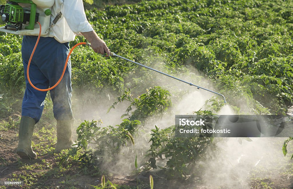 Kammerjäger - Lizenzfrei Versprühung von Schädlingsbekämpfungsmittel Stock-Foto