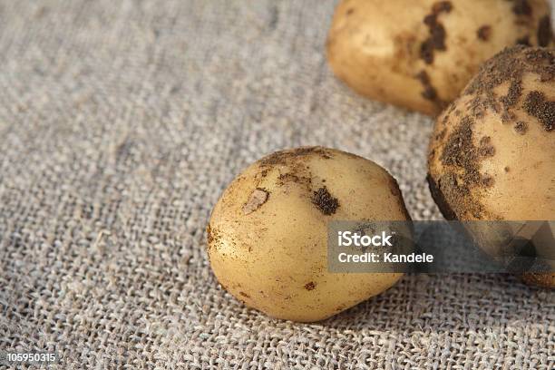 Dirty Frische Potataoes Auf Sackleinenhintergrund Stockfoto und mehr Bilder von Braun