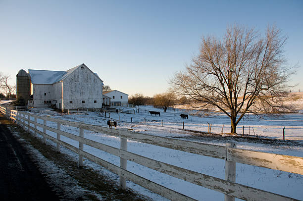 istock Farm Landscape in Winter 105950486