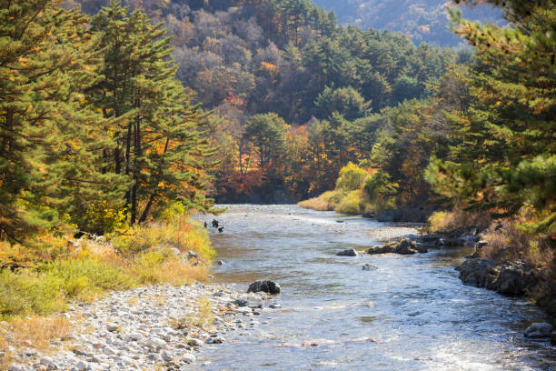 istock Autumn forest river landscape, South Korea 1059506178