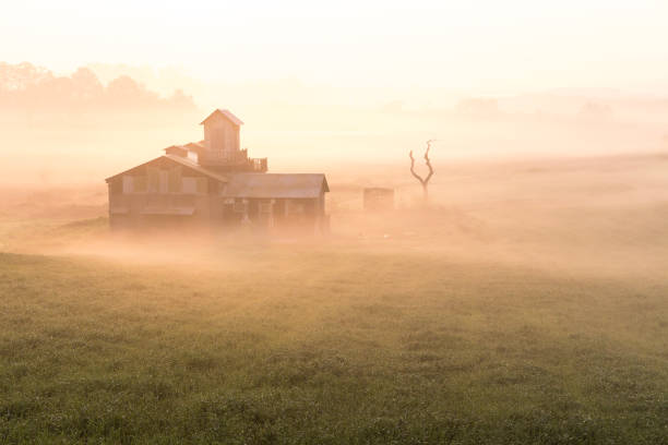 istock Vd737 Morning in a foggy ranch 1059508564