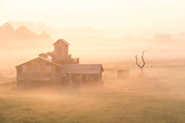 istock Vd737 Morning in a foggy ranch 1059508628