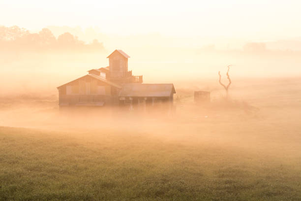 istock Vd737 Morning in a foggy ranch 1059508666
