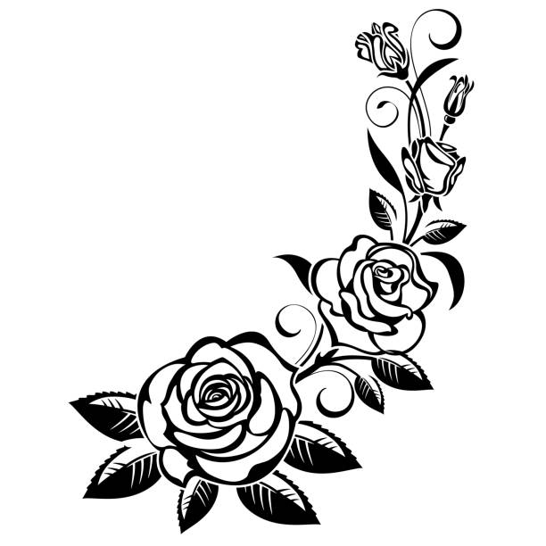 Branch of roses vector art illustration