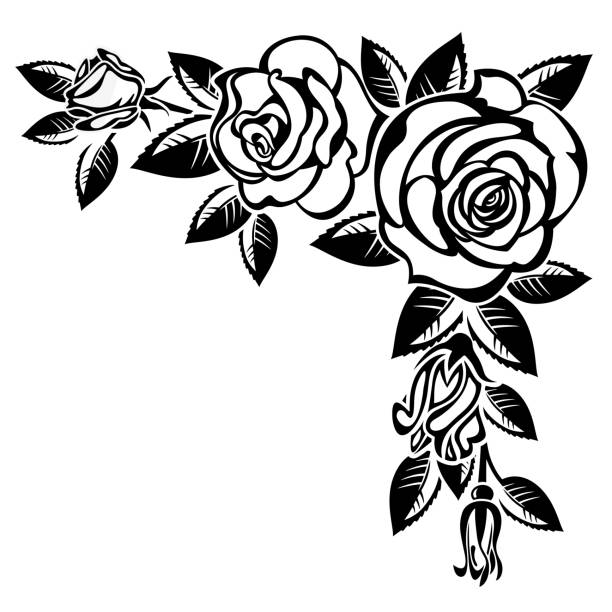 Branch of roses vector art illustration