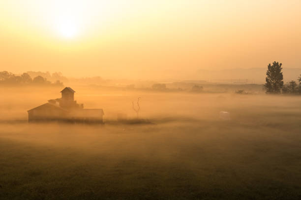istock Vd737 Morning in a foggy ranch 1059509908