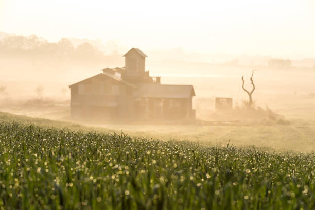 istock Vd737 Morning of a beautiful dewdrop pasture 1059510020