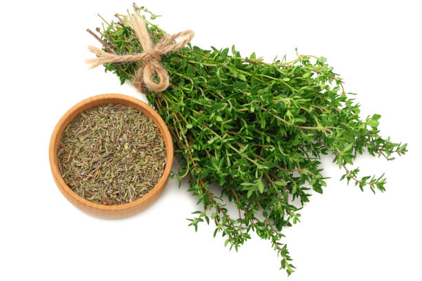 istock Thyme bunch isolated on white background close up 1059513572