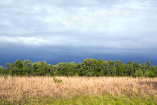 Tallgrass prairie remnant at the Kankakee Sands Nature Reserve under a dramatic sky in early spring