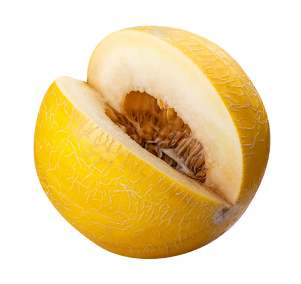 istock Yellow melon isolated on white background. Clipping path 1059515874
