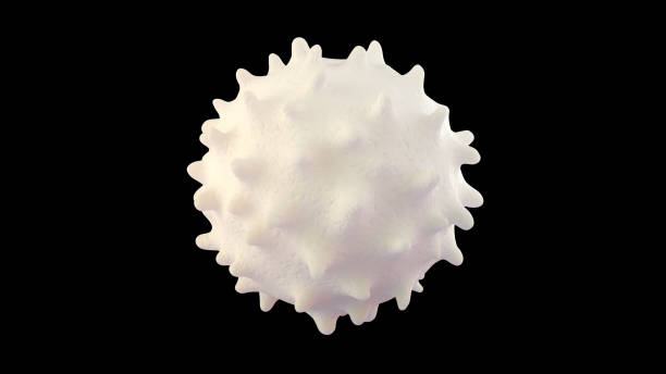 3D illustration of white blood cell stock photo