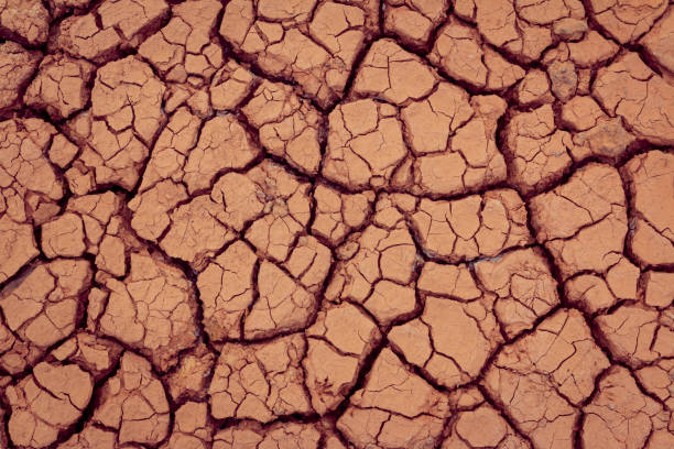 istock Crack earth/Crack soil on dry season/Global worming effect 1059517152