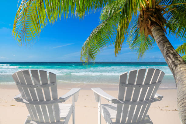 Beach chairs on sandy beach with palm and turquoise sea. Vacation beach. Beach chairs on sandy beach with palm and turquoise sea.  Summer vacation and travel concept. beach goa party stock pictures, royalty-free photos & images