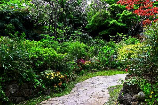 istock Beautifully organized gardens promenade 1059523894