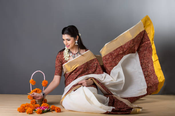 bella mujer india con encanto en sari - cultura hindú fotos fotografías e imágenes de stock