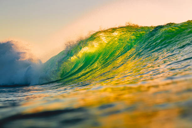 istock Ocean barrel wave at sunset. Perfect wave for surfing in Hawaii 1059524224