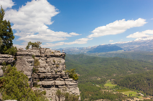 Granite rocks in the high Vosges in spring. Collectivite europeenne d'Alsace,Grand Est, France, Europe.