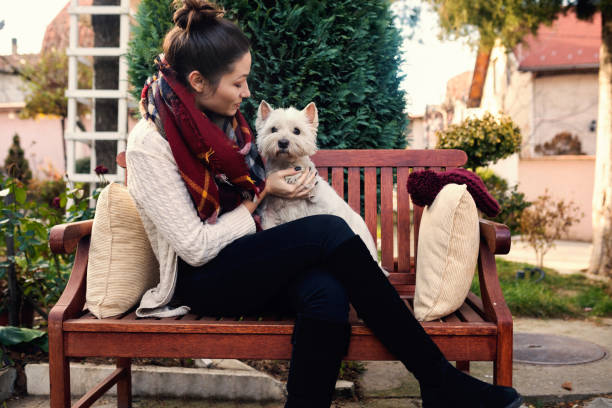 istock Cheerful young woman with cute dog 1059527000