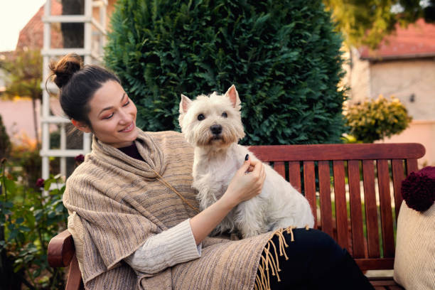 istock Cheerful young woman with cute dog 1059527352