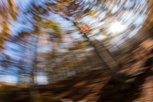 istock Wood and leaves 1059532858