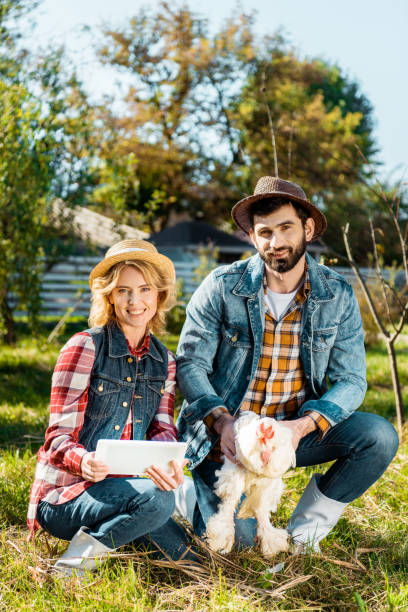 istock farmer holding chicken while his girlfriend using digital tablet near at ranch 1059533152