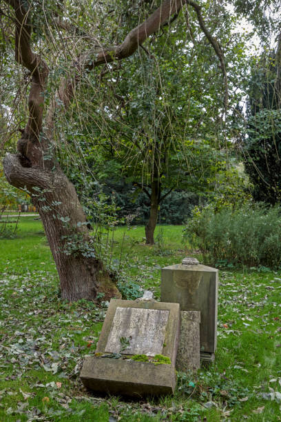 istock Broken tombstones in old grave yard 1059541534