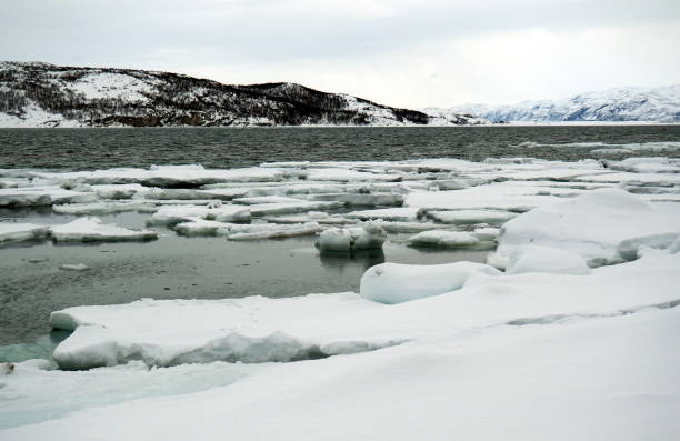 istock small icebergs in the fjord 1059549624