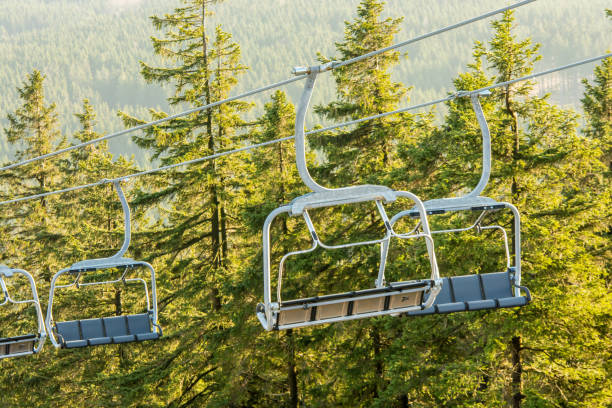 istock Empty chairlift with big gondolas in a forest area 1059553354