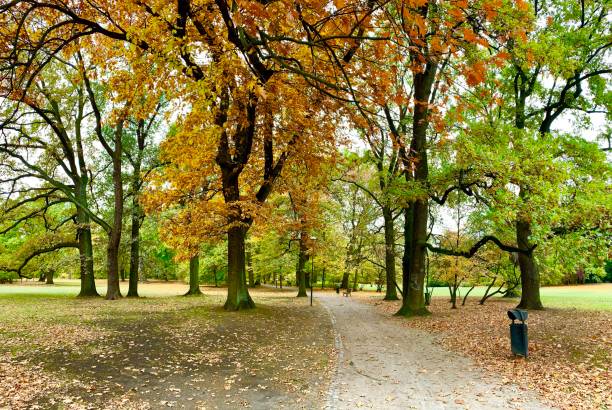 istock Footpath in the public park 1059554946