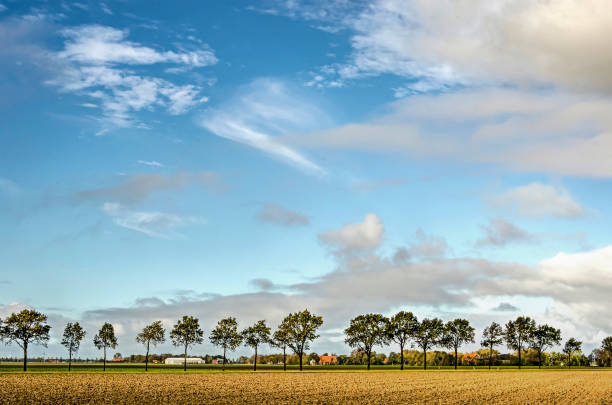 Predominantly blue sky with various kinds of clouds over a flat landscape with trees, fields and farms in Noordoostpolder (North East Polder), the Netherlands