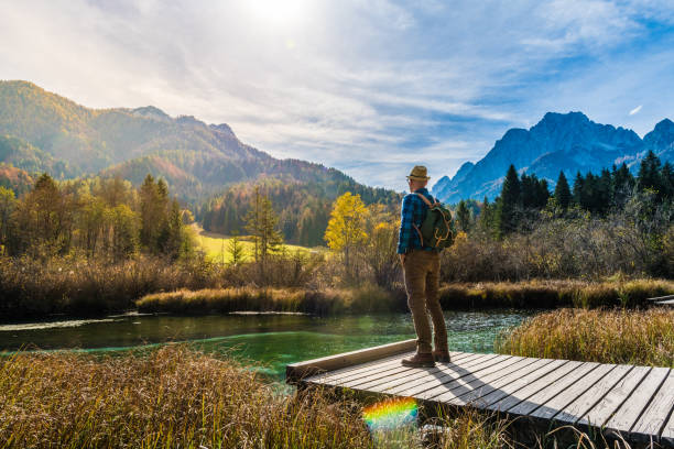 Young Adult Man Hiking In Julian Alps, Zelenci stock photo