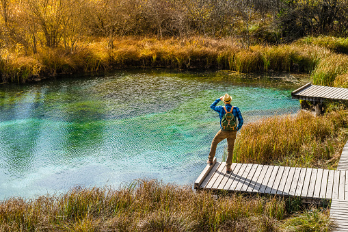 Young Adult Man Hiking In Autumn, Julian Alps, Kranjska Gora, Zelenci, Slovenia, Europe.