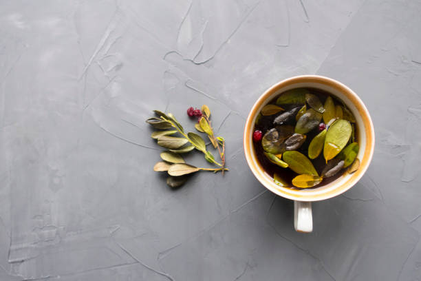 чай лингонберри - dried cranberry стоковые фото и изображения