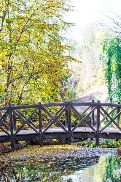 istock Wooden bridge over the river in the park 1059572294