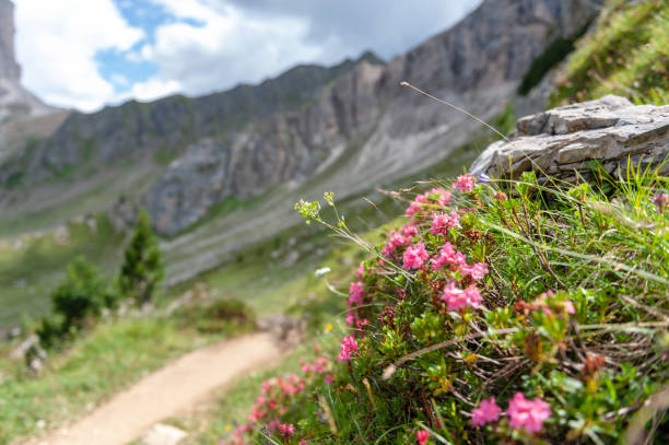 istock Mountain Scene in the Italian Dolomites 1059572398