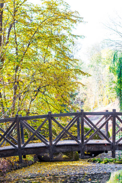 istock Wooden bridge over the river in the park 1059572434