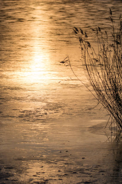 istock Sunset on the lake with beautiful water reflections 1059574234