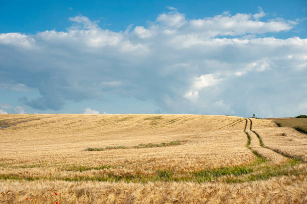 istock Landscape with grainfield in Moritzdorf 1059579452