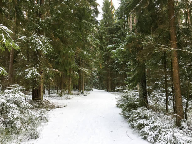 istock First Winter Snow And Autumn Mountain Village 1059588152