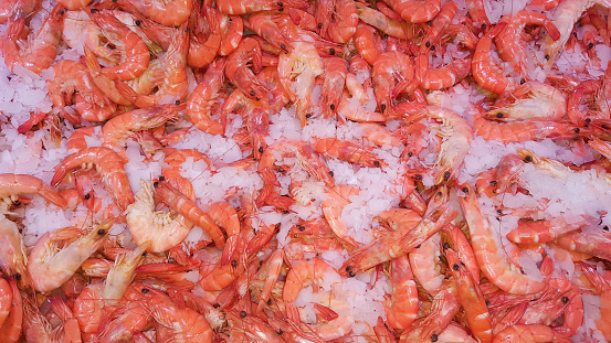 fresh salmon fish in food market ice