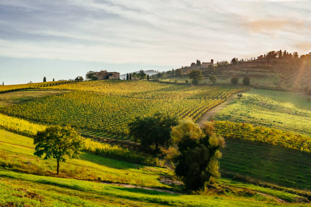 Tuscany's landscape in autumn at sunset