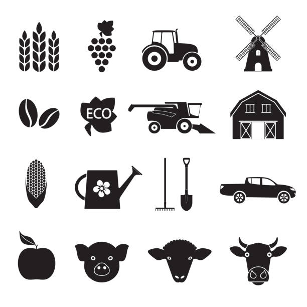 ilustrações de stock, clip art, desenhos animados e ícones de agriculture and farming icon set. black icons isolated on white background. vector illustration. - tractor agricultural machinery agriculture commercial land vehicle