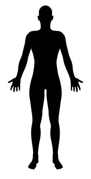 Stylised Unisex Human Figure Silhouette A stylised unisex human figure standing in silhouette human representation stock illustrations