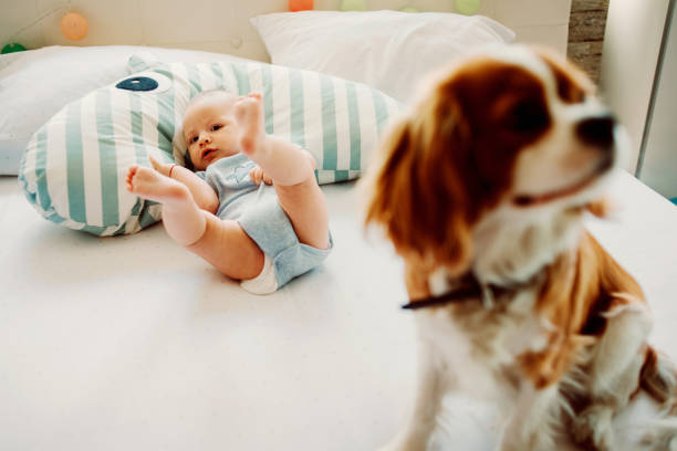 istock baby and dog playing around 1059604140