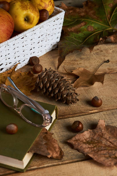 istock Autumn season and education concept with book reading glasses 1059616740