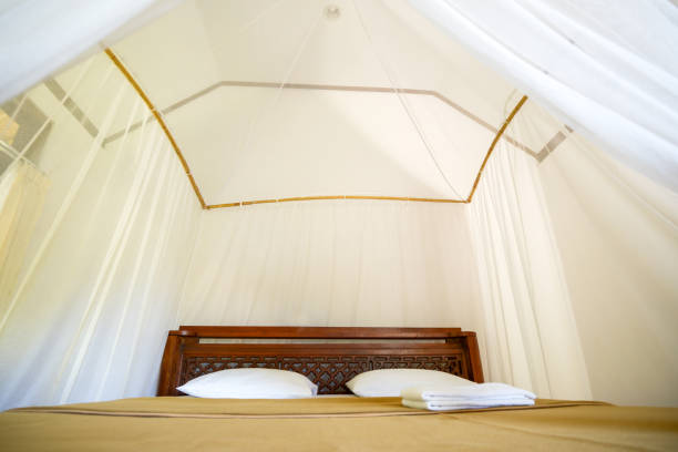 istock bed hotel on islands in asia 1059619814