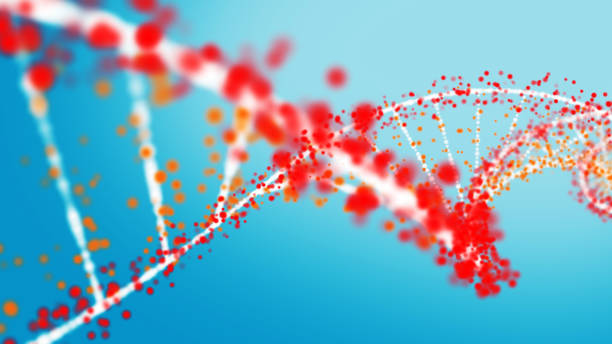 multi color filamento de la dna - dna genetic research biology molecular structure fotografías e imágenes de stock